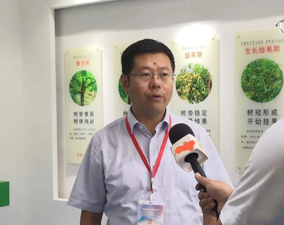 http://sanrepian.net.cn/zixun/71.html|電商資訊