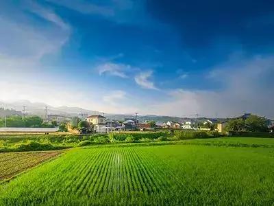 http://sanrepian.net.cn/zixun/145.html|電商資訊